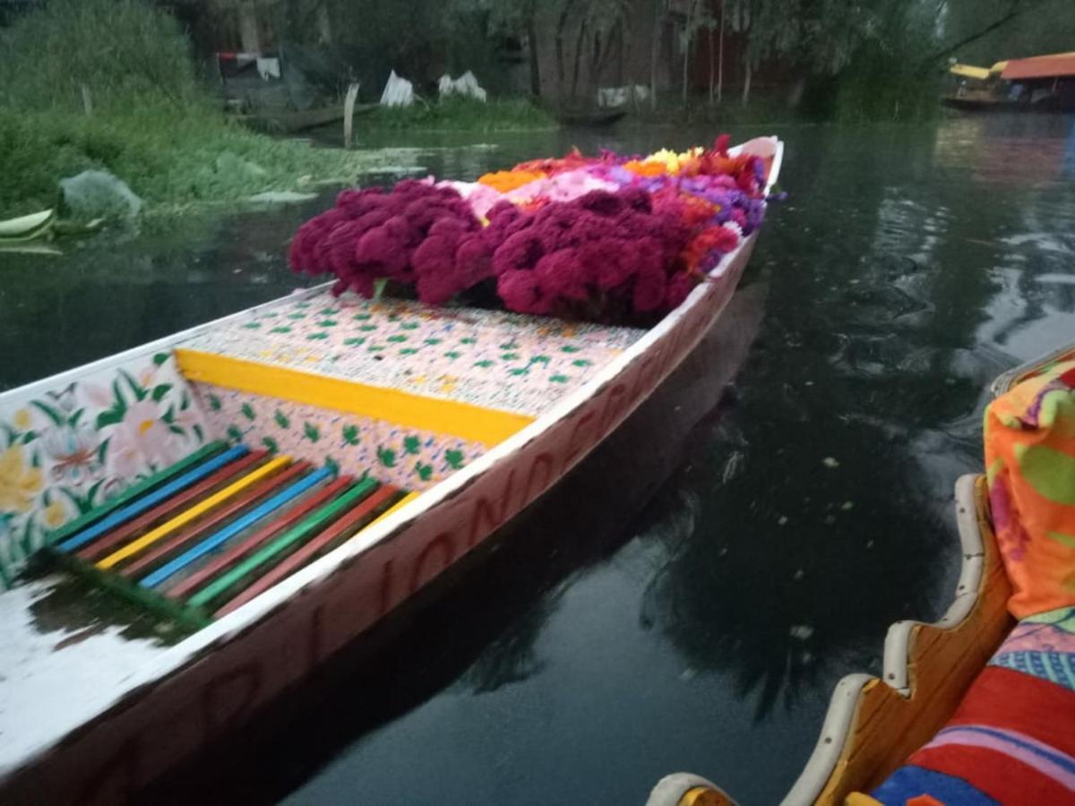 Hotel Umbrella Group Of House Boat Srīnagar Exteriér fotografie